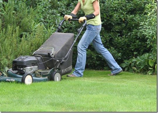 Market Analysis:  US Lawns and Garden Consumables Market Still on a Growth Path to 2016