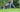 Market Analysis:  US Lawns and Garden Consumables Market Still on a Growth Path to 2016