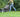 Market Analysis:  US Lawns and Garden Consumables Market Still on a Growth Path to 2016