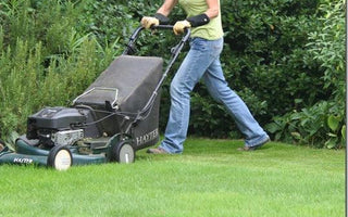 Market Analysis:  US Lawns and Garden Consumables Market Still on a Growth Path to 2016