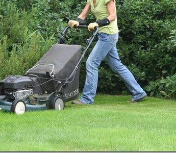 Market Analysis:  US Lawns and Garden Consumables Market Still on a Growth Path to 2016