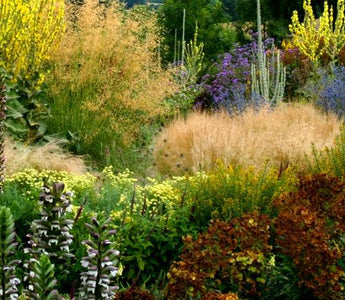 On the Dry Side: dealing with sunny, dry situations