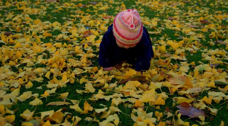 Garden Projects for Children by Caroline Tilston