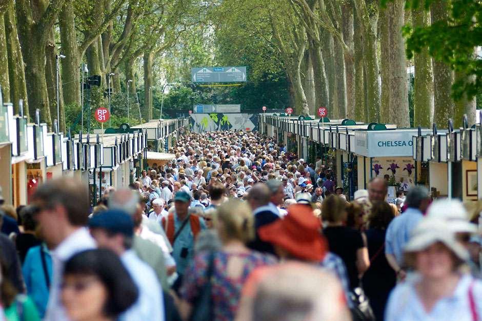 Chelsea Flower Show 2015: A Review