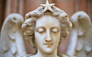 Camera Lenses: The Joy of Primes