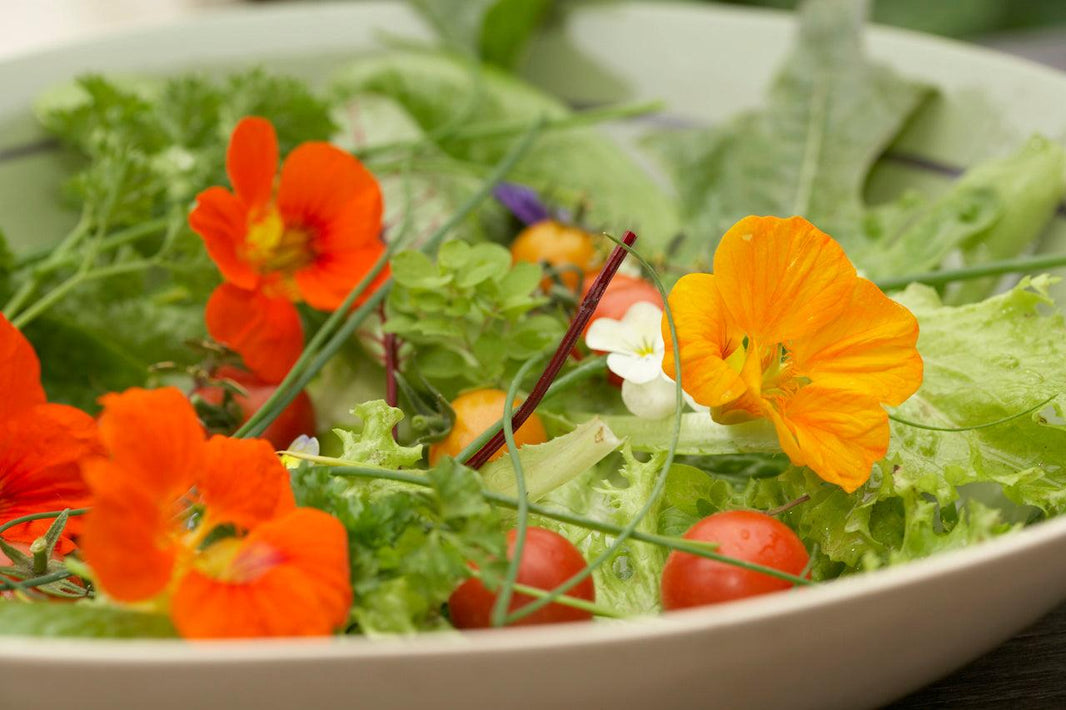 Growing Food: The Home Grown Revolution