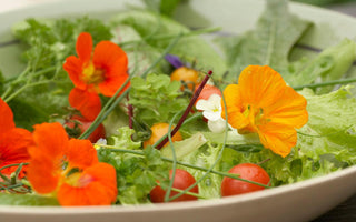 Growing Food: The Home Grown Revolution