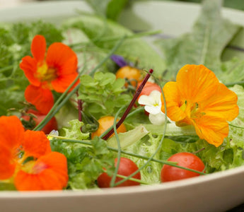 Growing Food: The Home Grown Revolution