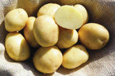 How to Grow Potatoes in Small Spaces