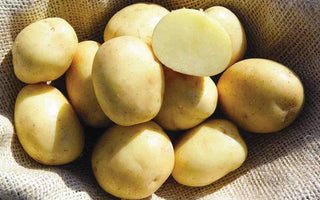 How to Grow Potatoes in Small Spaces