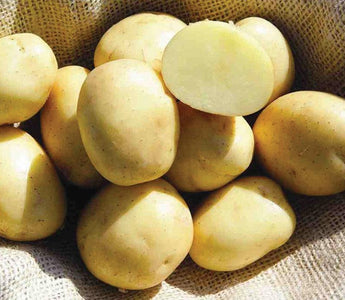 How to Grow Potatoes in Small Spaces