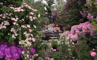 Enjoy Chelsea Flower Show: really make a day of it!
