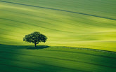 How To Win A Photography Competition
