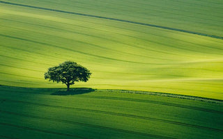 How To Win A Photography Competition