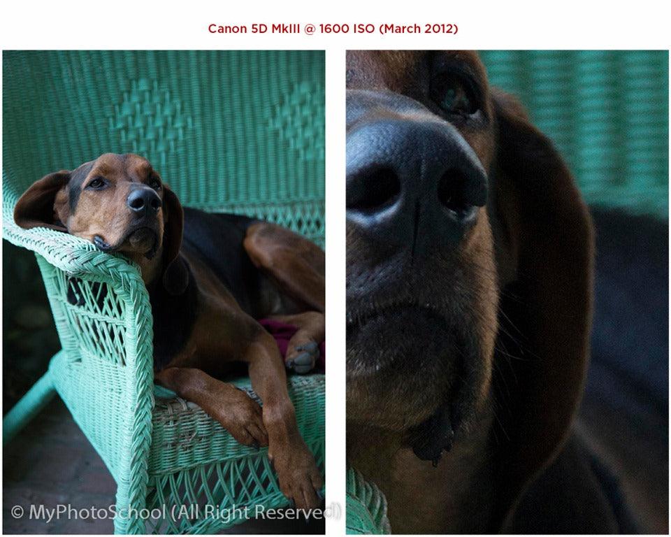 ISO Settings: The biggest advance in Digital Photography