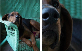 ISO Settings: The biggest advance in Digital Photography
