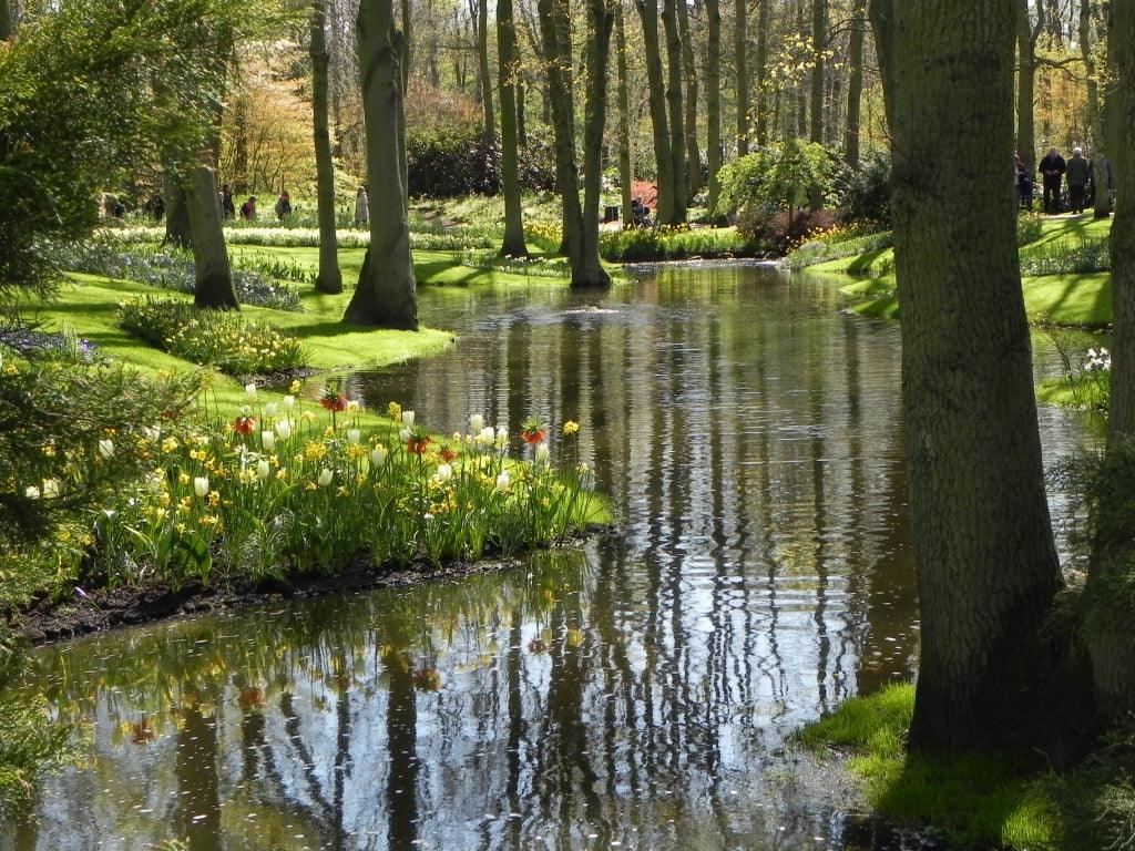 Healing Gardens; man and the power of plants