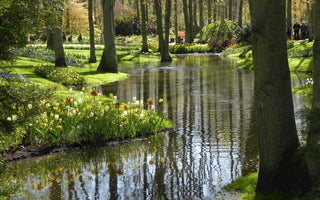 Healing Gardens; man and the power of plants