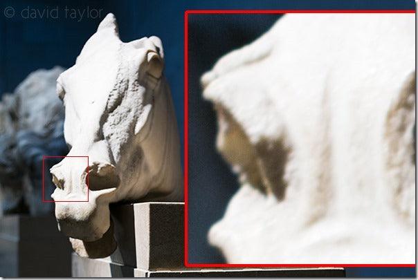 Image sharpness: The Factors That Affect It