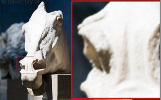 Image sharpness: The Factors That Affect It