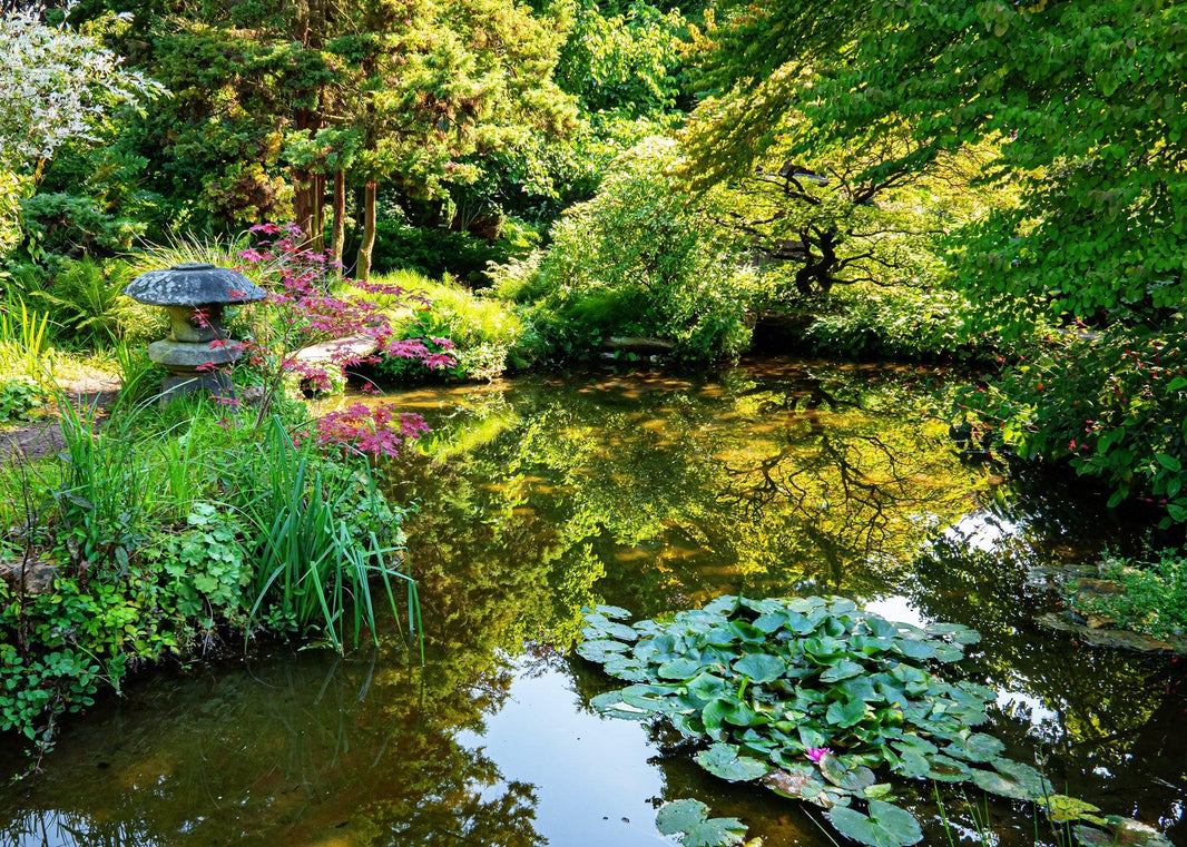 Water reflection photography tips