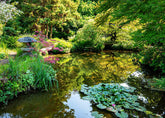 Water reflection photography tips