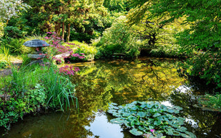 Water reflection photography tips