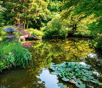 Water reflection photography tips