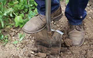 Garden tools that make gardening a pleasure