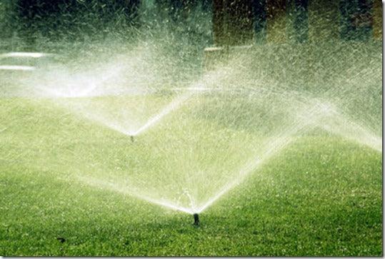 100 ways to conserve water for gardeners