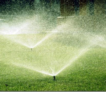 100 ways to conserve water for gardeners