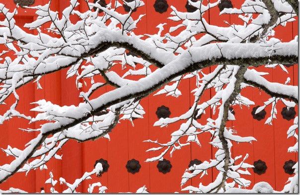 Art Wolfe on Finding your Subject