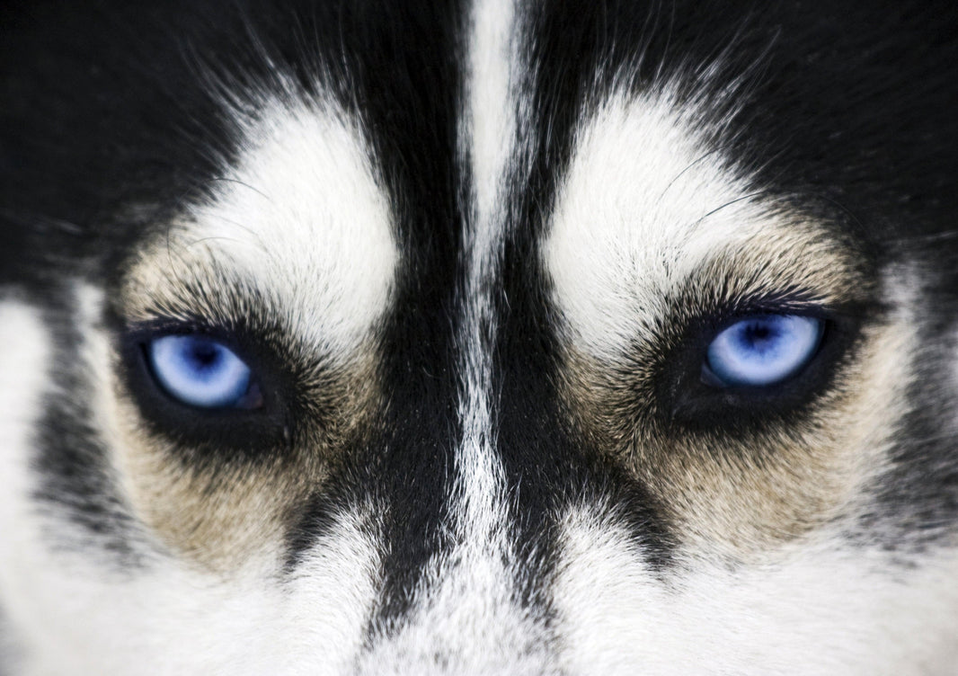 8 Tips To Be A Tasteful Photography