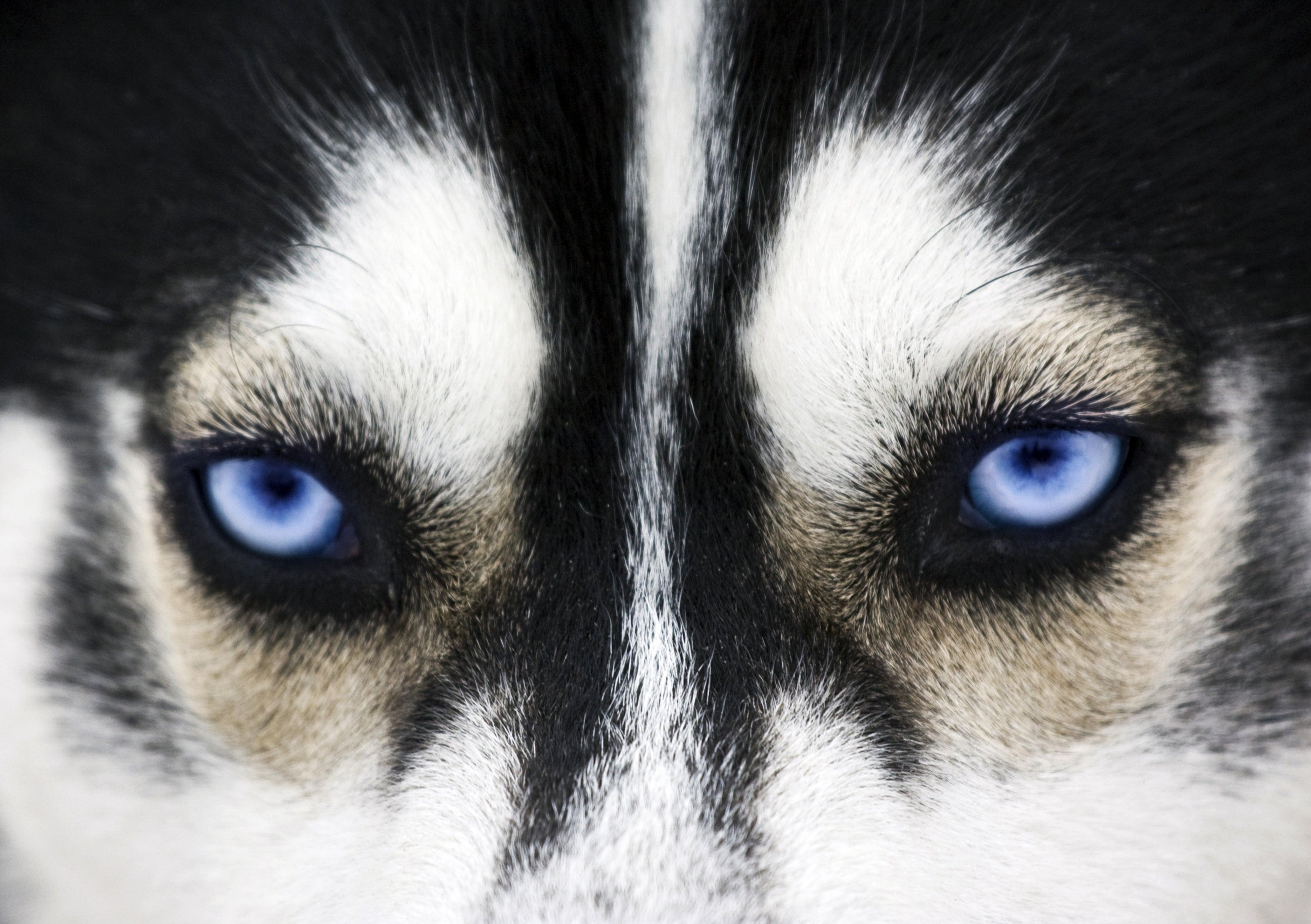 8 Tips To Be A Tasteful Photography