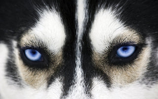 8 Tips To Be A Tasteful Photography