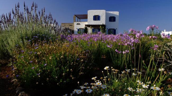 How do you plant a seaside garden? Planting for coastal conditions