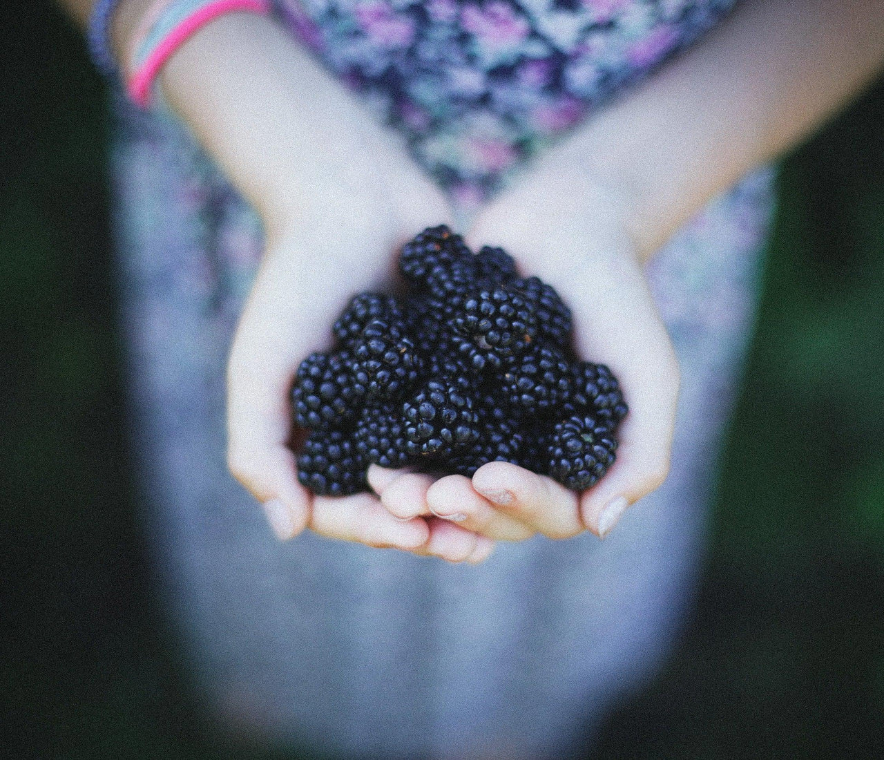 Blackberries Learning with Experts