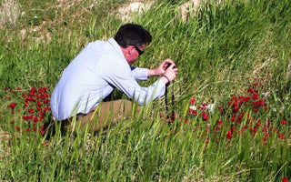 A Working Holiday to Jerusalem