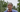Episode 14: Planting bulbs with Dr Noel Kingsbury
