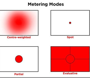 Understanding Camera Metering Modes
