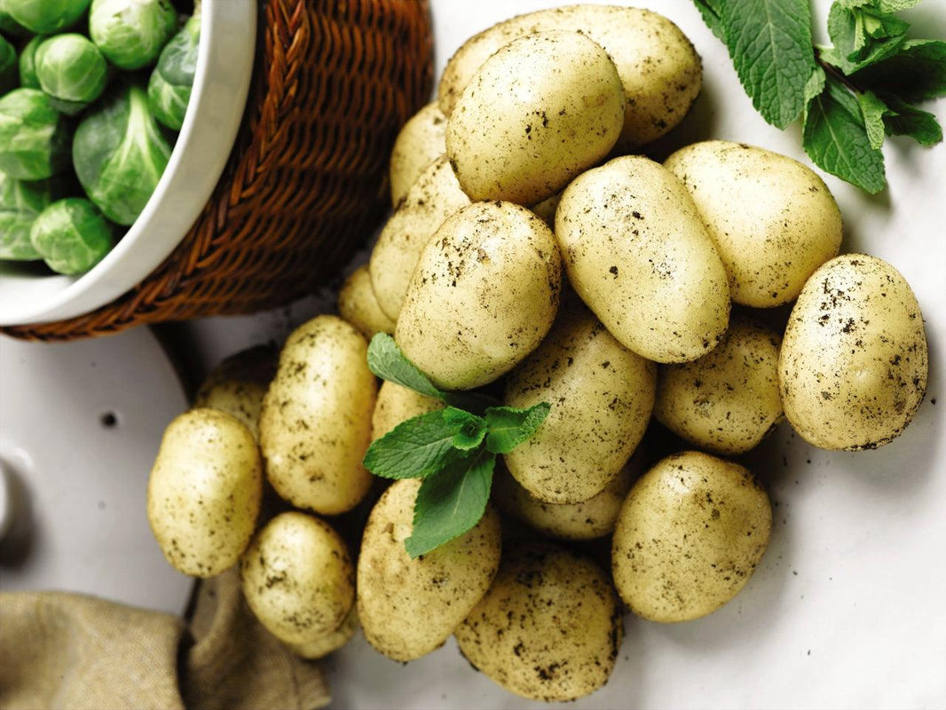 Potato Recipe Competition – Dig Deep for Recipies