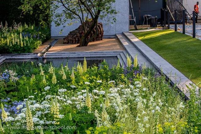 Chelsea Flower Show 2014 Medal Winners