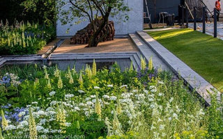 Chelsea Flower Show 2014 Medal Winners