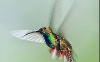 4 Typical Camera Focussing Problems Solved