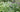 How to plant your garden like an award winning garden designer
