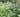 How to plant your garden like an award winning garden designer