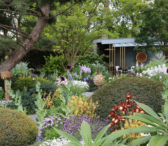 Creating your own show garden