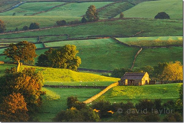 Landscape Photography: The &lsquo;Golden Hour&rsquo;