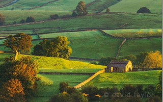 Landscape Photography: The &lsquo;Golden Hour&rsquo;