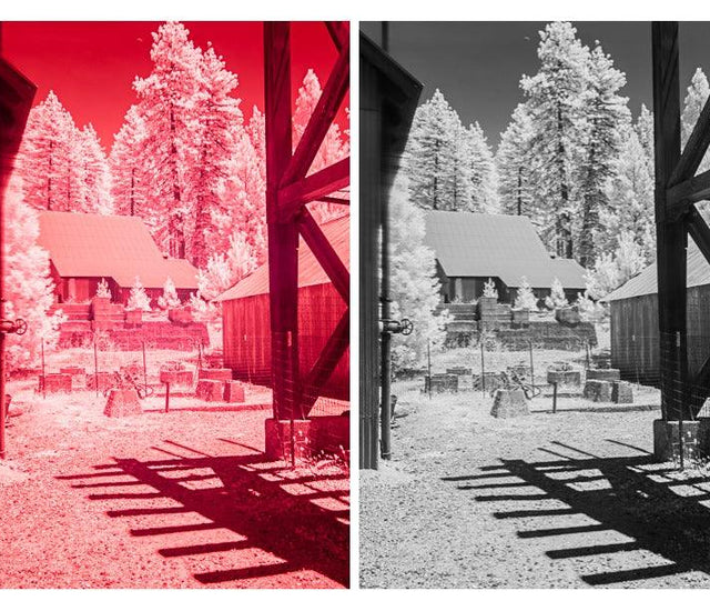 Turning The Ordinary Into the Extraordinary Learning with Experts